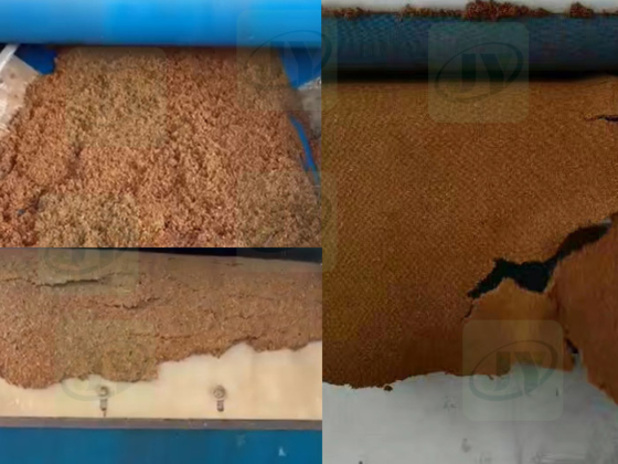 Efficient Desalination and Dewatering of Coco Coir with Belt Press Machines